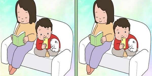 Tes IQ - Temukan Perbedaan Dan Di Gambar Agar Kamu Lebih Pintar
