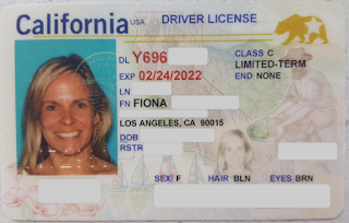 california-driver-licence