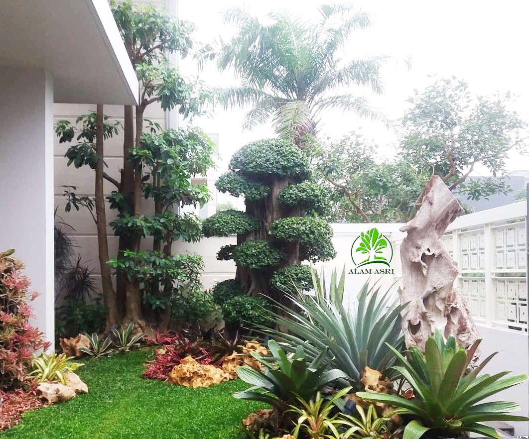 Taman Rumah Minimalis Surabaya Tukang Taman Profesional Surabaya