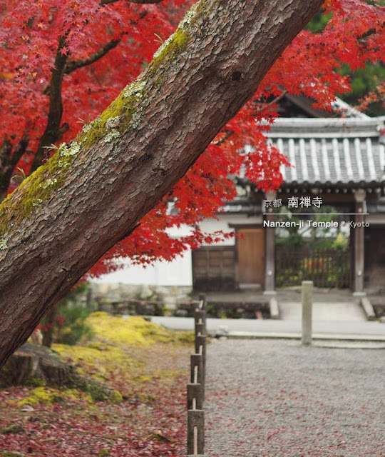 [京都] 南禅寺の紅葉