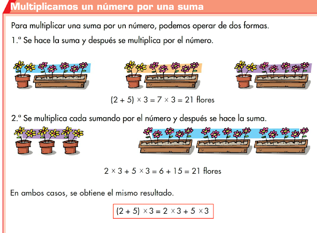 Resultado de imagen de problema con propiedad distributiva dela multiplicación