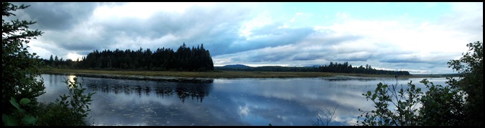 Looking for moose 012