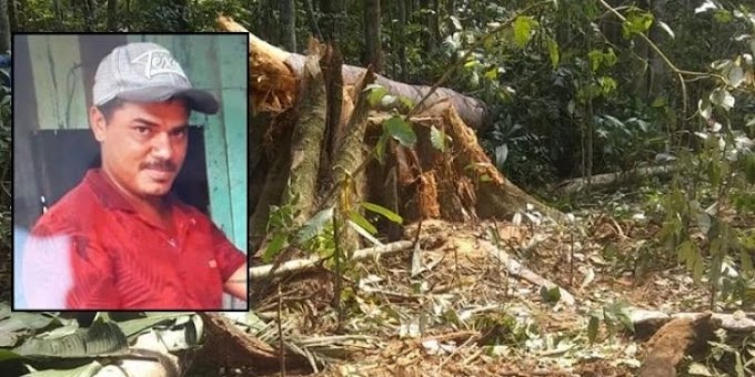 Rondoniense morre após ser atingido por árvore durante derrubada