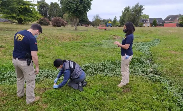 Toma de muestras