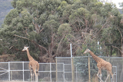 The Grampians National Park Australia.....