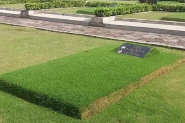 9 Cara Menanam Rumput Jepang Di Makam