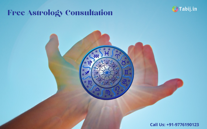 Free Astrology Consultation to get success ladder for life