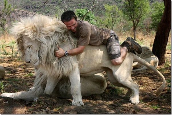 Kevin Richardson, O encantador de leões (9)