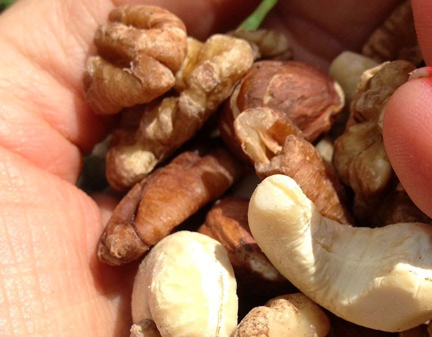 Using Cashew Nut For Skin And Health