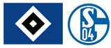 Hamburger SV - FC Schalke 04