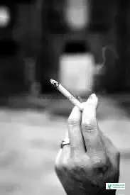 বিড়ি খাওয়া স্ট্যাটাস - নিকোটিনের স্ট্যাটাস - সিগারেট নিয়ে প্রেমের কবিতা - cigarette status - NeotericIT.com - Image no 5