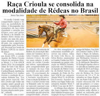 http://www.newsflip.com.br/pub/cidade//index.jsp?edicao=4700