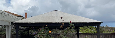 repaired Poly roof after three years