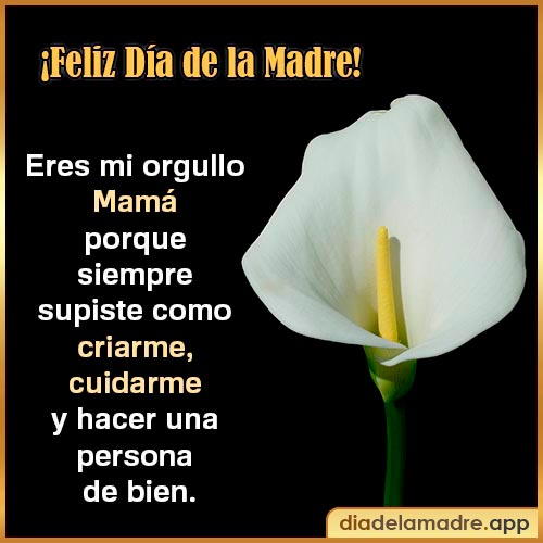 imágenes con frases feliz día mamá