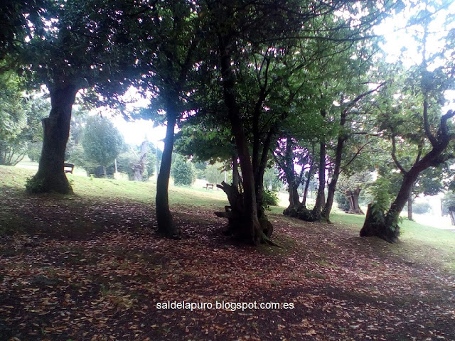 otoño-gijon-parque-pericones