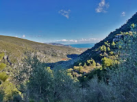 Valle Carbonara - Gargano