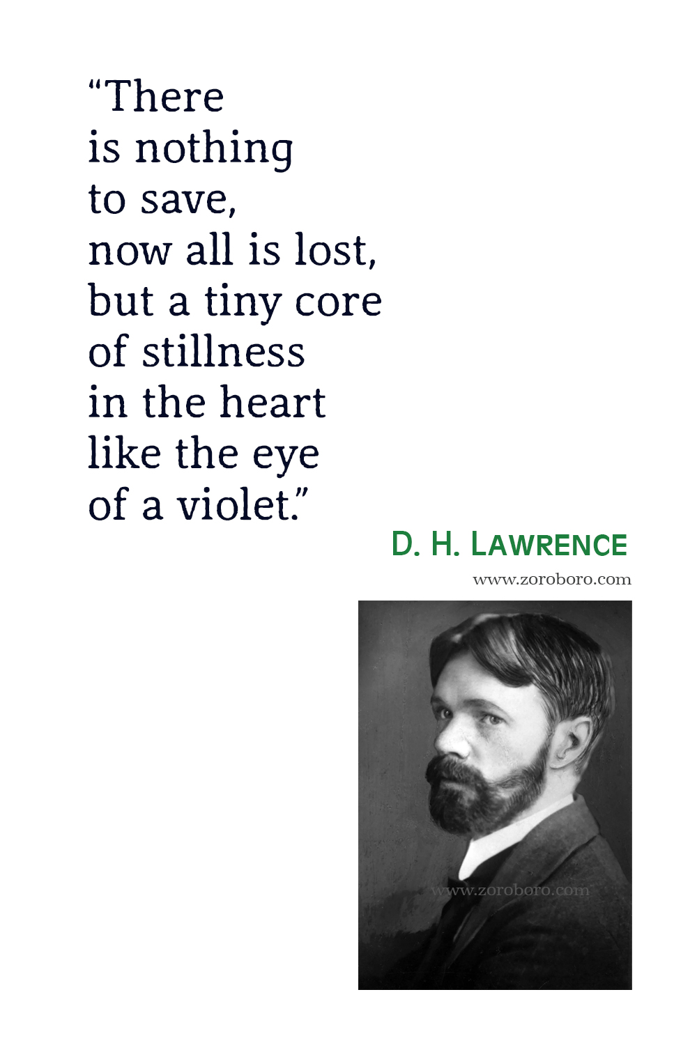 D.H. Lawrence Quotes, D.H. Lawrence Lady Chatterley's Lover Quotes, D.H. Lawrence Poems, D.H. Lawrence Poetry, D.H. Lawrence Philosophy, D.H. Lawrence Books.