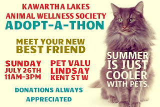 image July 26 11AM-3pm Kawartha Lakes Animal Wellness Society Adopt-a-thon Pet ValuKent St. W  Lindsay