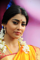 Gorgeous, Shriya, @, Pavithra, Movie, Launch