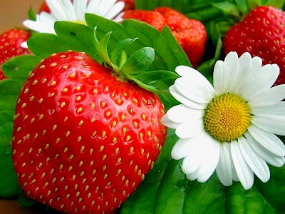 Fruit Wallpapers Lime, Cherry, cherry wallpaper. Fruit Wallpapers Lime, Cherry,