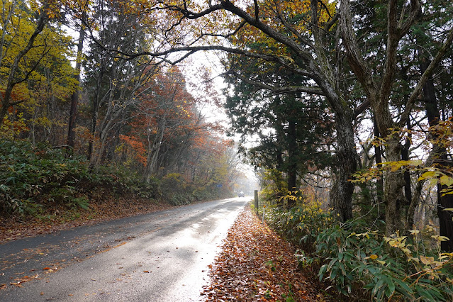 鳥取県道45号倉吉江府溝口線（大山環状道路）