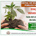NOVO ITACOLOMI - Edital de chamamento público para doação de mudas para reflorestamento em áreas rurais
