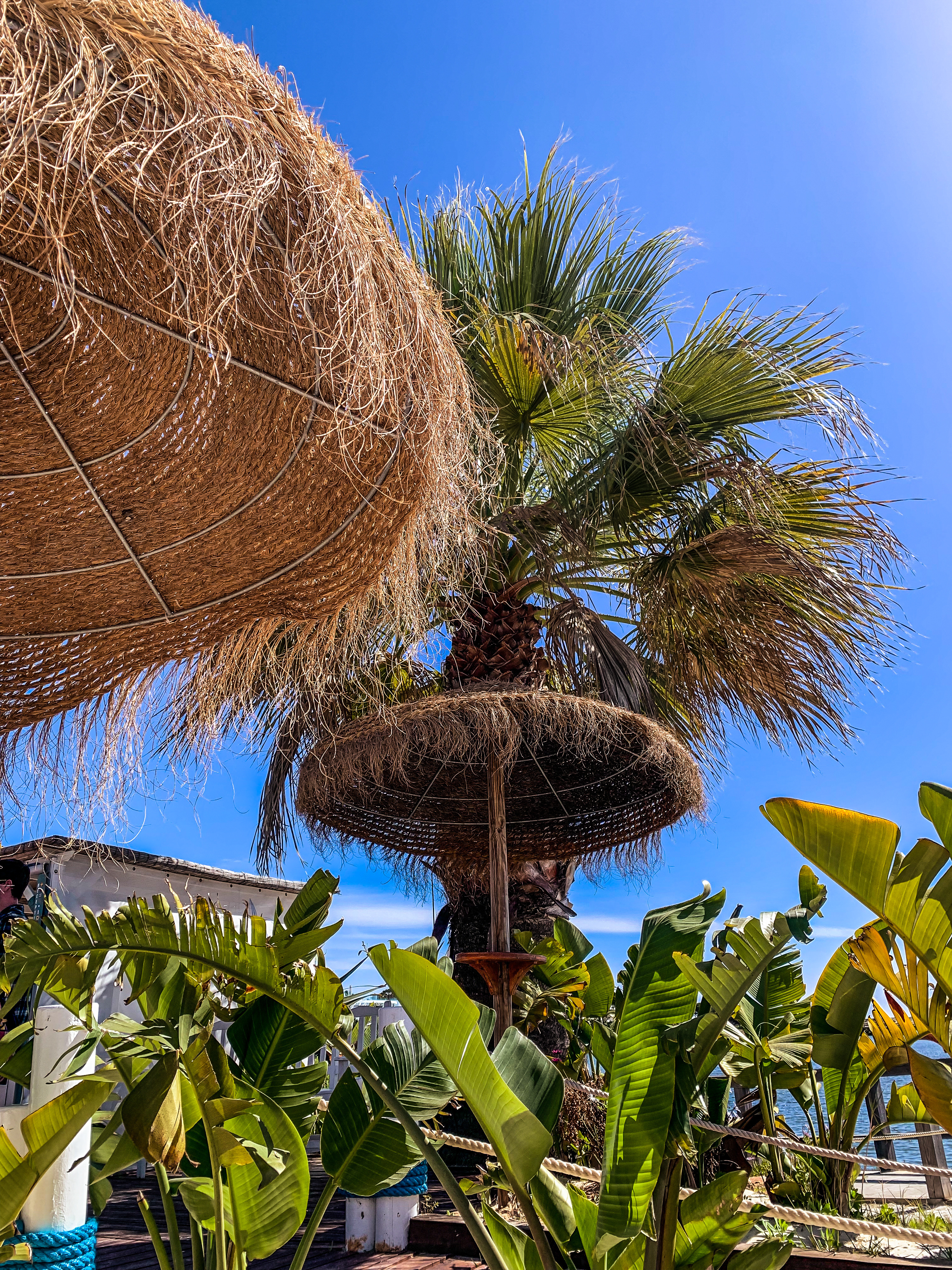 The Shack Quinta do Lago