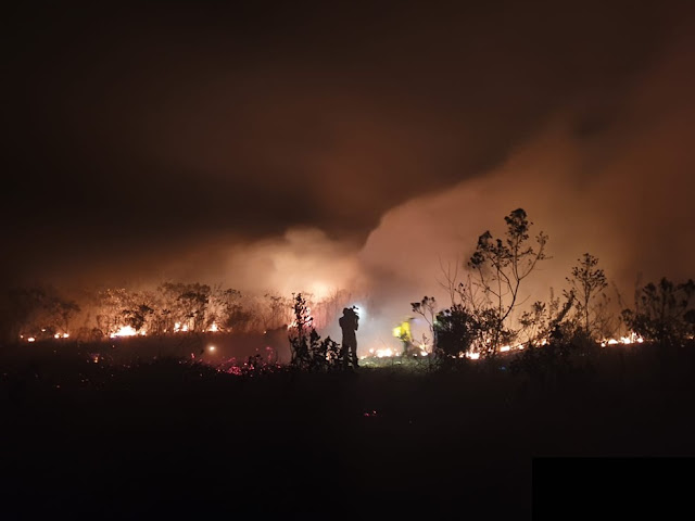 Incêndio na Chapada Diamantina (Foto: Camila Marinho/TV Bahia)