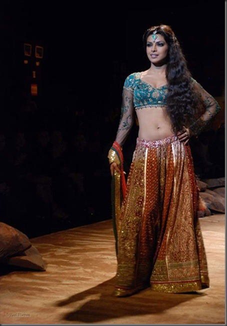 priyanka chopra sexy stills1