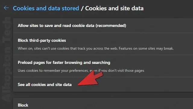 See all Cookies and site data edge - الكوكيز