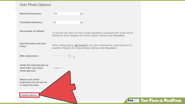  welcome to the TutBig today I will show you How to  How to User Photo in WordPress