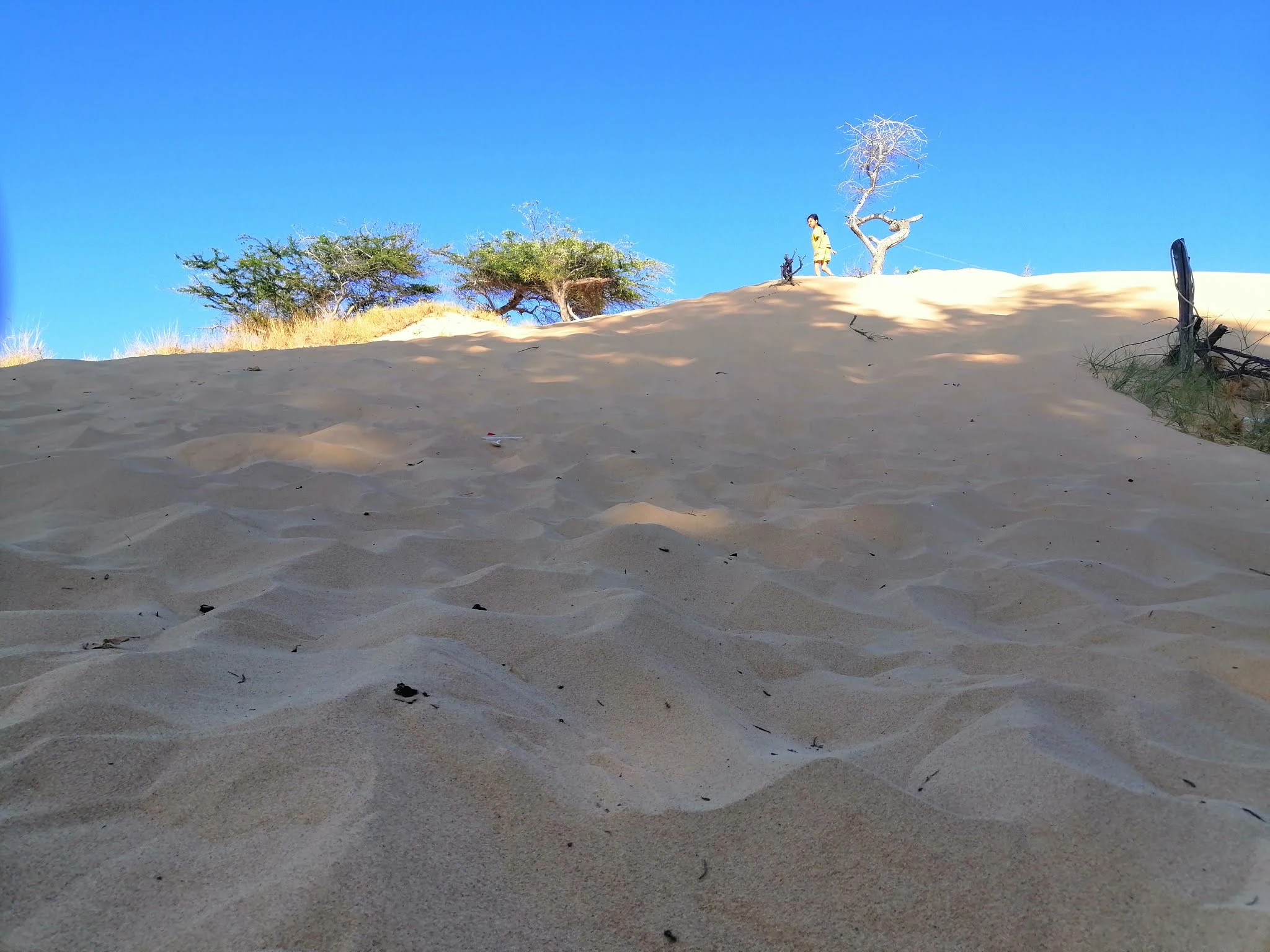 đồi cát sa mạc
