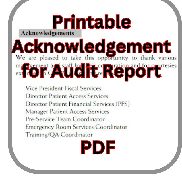 Professional Acknowledgement for Audit Report