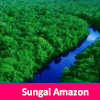 Apa Itu Sungai Amazon,Panjang, Lokasi Dan Fakta-Faktanya