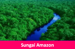 Apa Itu Sungai Amazon,Panjang, Lokasi Dan Fakta-Faktanya