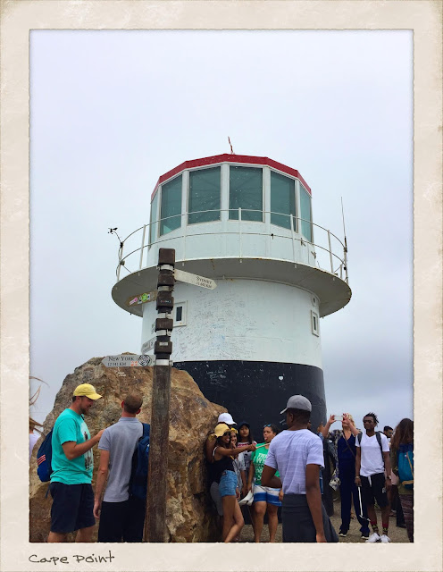 cape of good hope