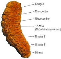 Obat Penyempitan Saluran Kencing (Ureter), Cara Paling Ampuh Mengobati Tanpa Operasi