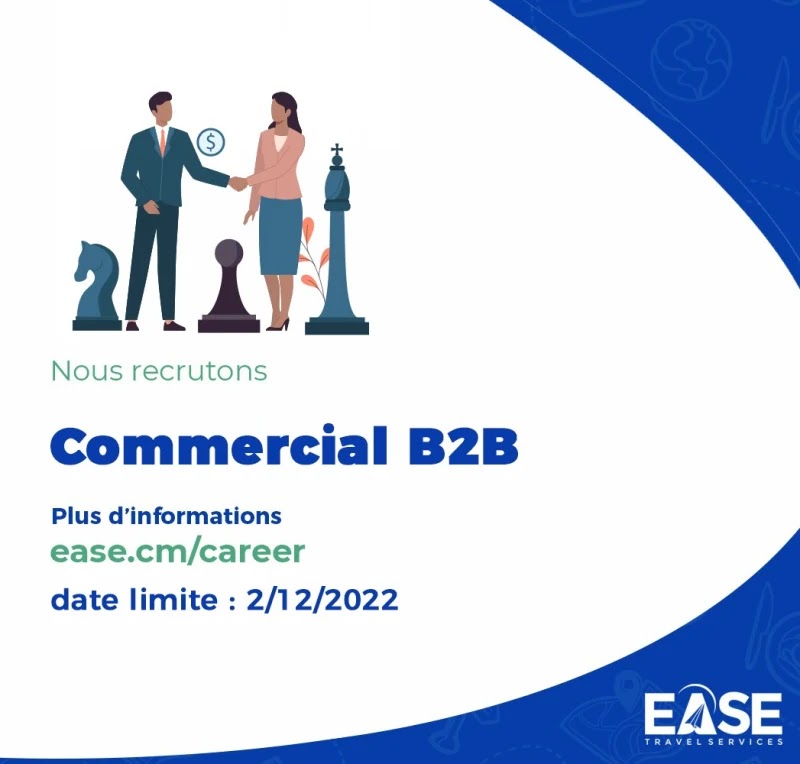 Offre d'emploi: Commercial B to B