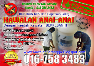 Iklan Kawalan Serangga & Kawalan Anai-Anai