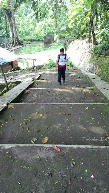 Telaga rambut monte