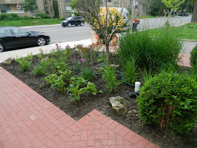 Avenue Road Toronto Front Garden Cleanup After by Paul Jung Gardening Services