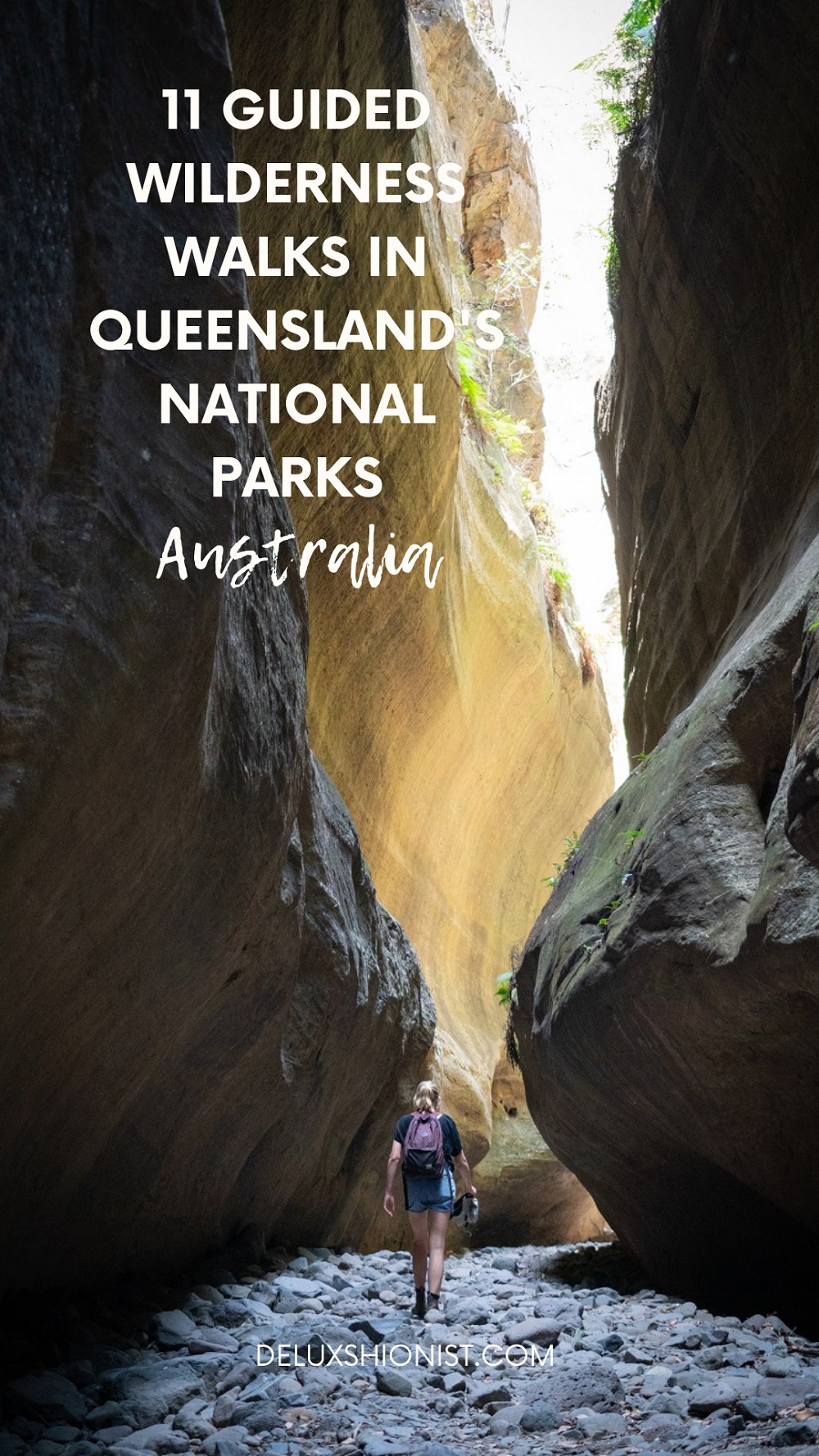 11 GUIDED WILDERNESS WALKS IN QUEENSLAND'S NATIONAL PARKS