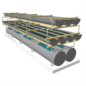 Fish Tank Aquaponics System