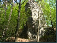 DSCN8225