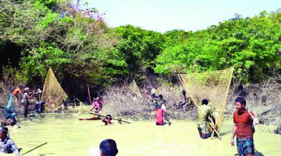 বিষ ঢেলে রাতারগুলের সর্বনাশ by আবদুর রশিদ রেনু