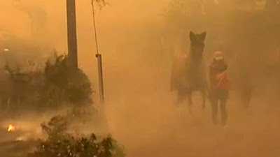 Elevan la cifra de muertos a tres, incendio Galicia