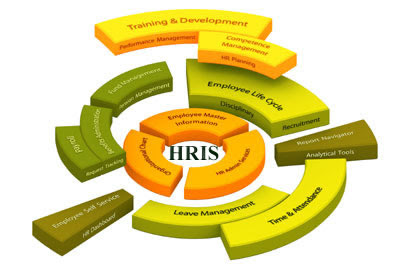 Organizational Information Systems on Human Resource Information System Definition   Best Homework Help In