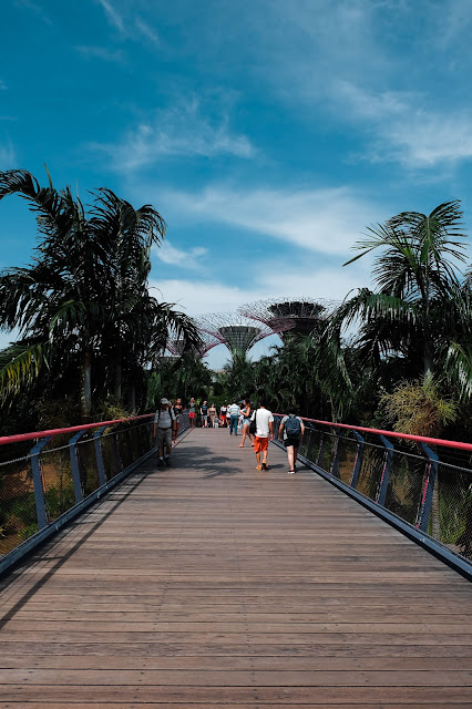 dragonfly bridge gardens by the bay | sillyandordinarygirl