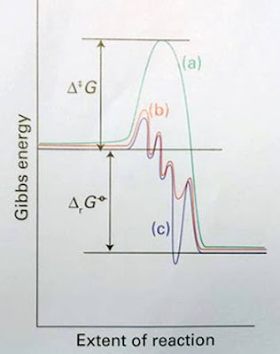 schematic of gibbs energetic of a catalytic cycle