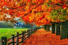 great scenery in autumn (October)